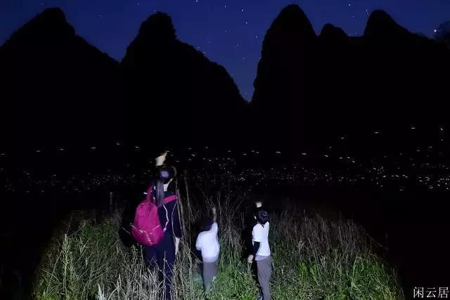 安全工程师风险大吗游戏画面